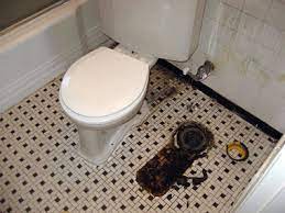 Can sewer gas come up through the toilet?