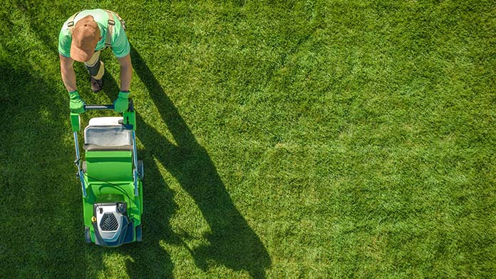 How to start a lawn care business.