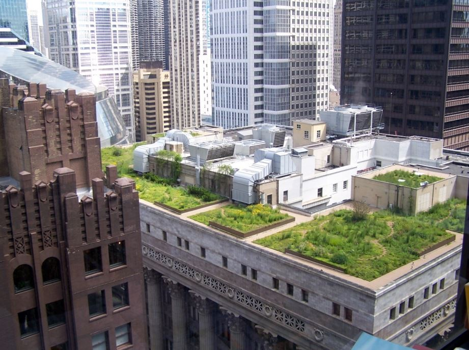 Advantages and Disadvantages of Green Roofs In Urban Areas 