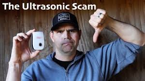 Do Ultrasonic Pest Repellants Work?