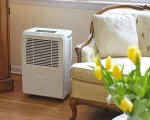 Does a dehumidifier cool a room? The answer is strange