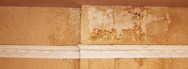 penetrating damp