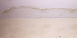 penetrating damp