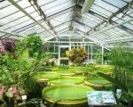 How To Build A Greenhouse That Can Withstand Wind