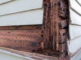 Wood rot