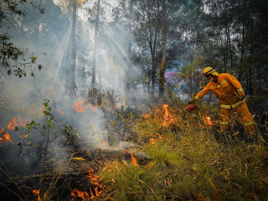 a fire fighter trying to bring down a burning bush