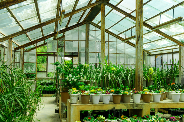 how-to-build-a-greenhouse-that-can-withstand-wind-dripmotion