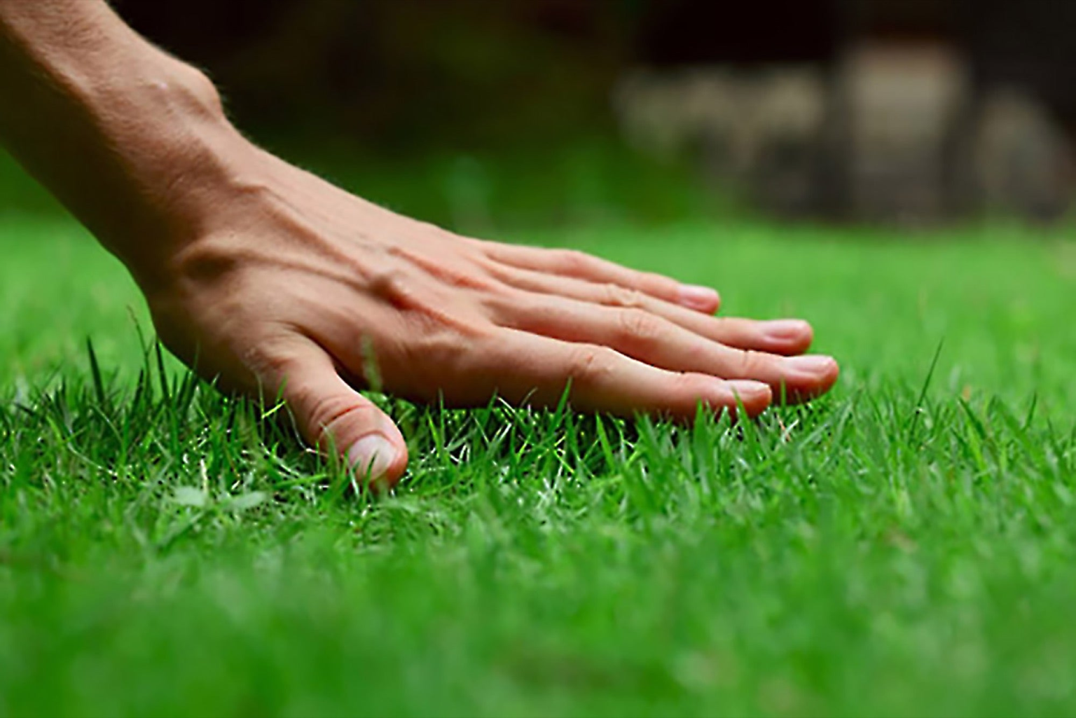 How To Make Your Lawn Care Business Grow