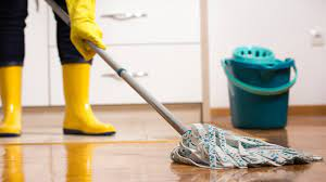 This picture is a clear example how to mop the house.